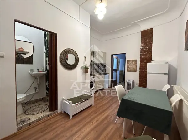 Apartament 1 camera Timișoara - poza 3