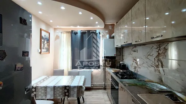 Apartament 4 camere Arad - poza 13