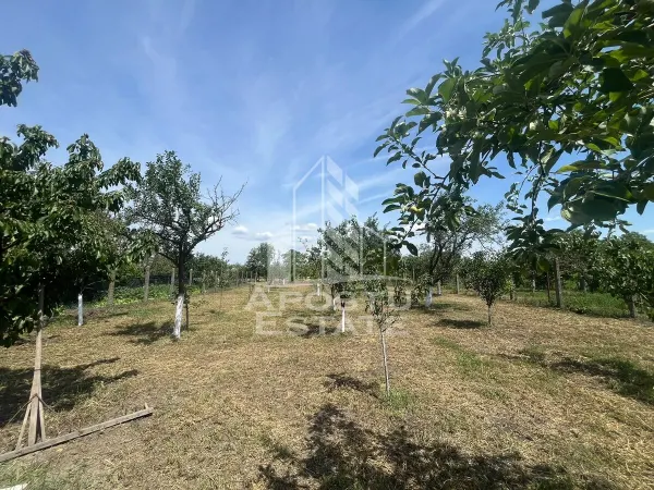 Casă 3 camere Munar - poza 10