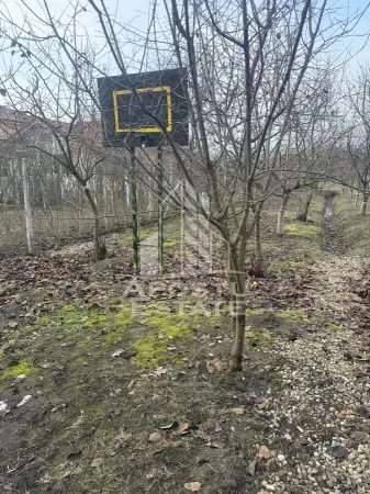 Casă 5 camere Ghiroda - poza 18
