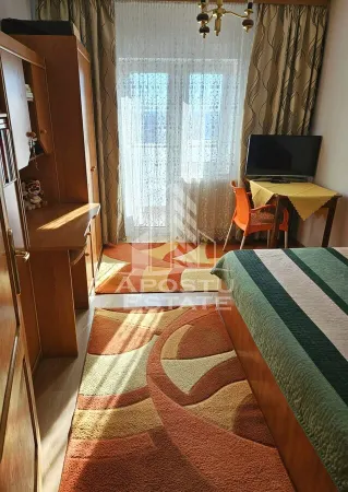 Apartament 3 camere Arad - poza 8