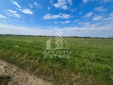 Teren intravilan de vanzare – Sannicolau Mare, judetul Timis - foto 5