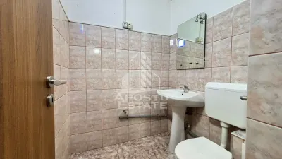 Apartament 3 camere de vanzare Girocului, Timisoara - foto 10