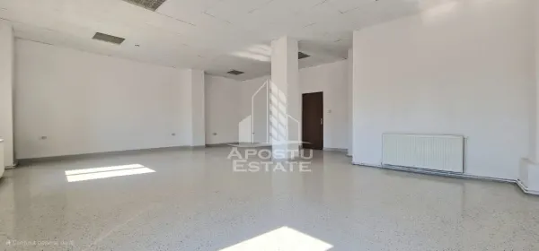 Birou Arad - poza 7