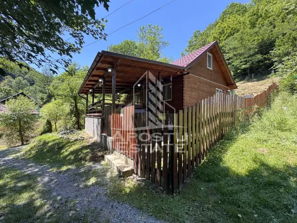 Casă 5 camere Dumbrava de Jos - poza 1