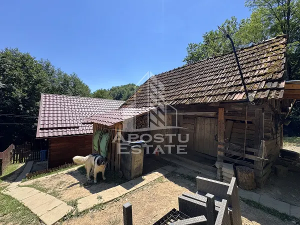 Casă 5 camere Dumbrava de Jos - poza 16
