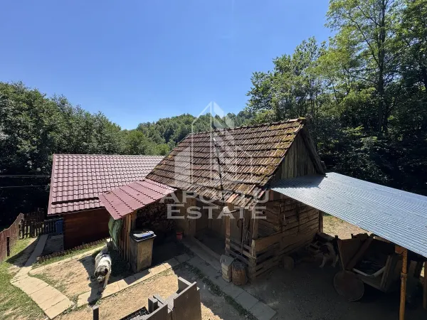 Casă 5 camere Dumbrava de Jos - poza 17