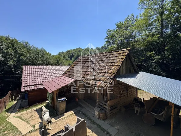 Casă 5 camere Dumbrava de Jos - poza 18