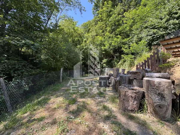 Casă 5 camere Dumbrava de Jos - poza 19