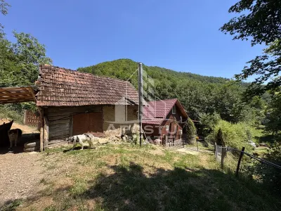 Casa din lemn, zona muntoasa, cu rau, la cheie, Ribita, Hunedoara - foto 20