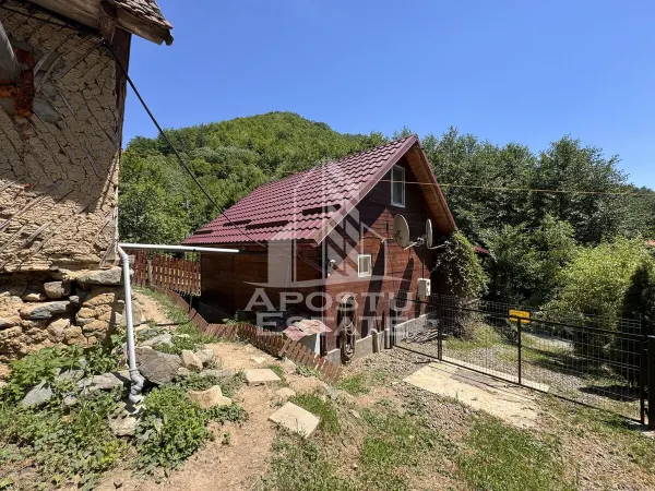 Casă 5 camere Dumbrava de Jos - poza 21