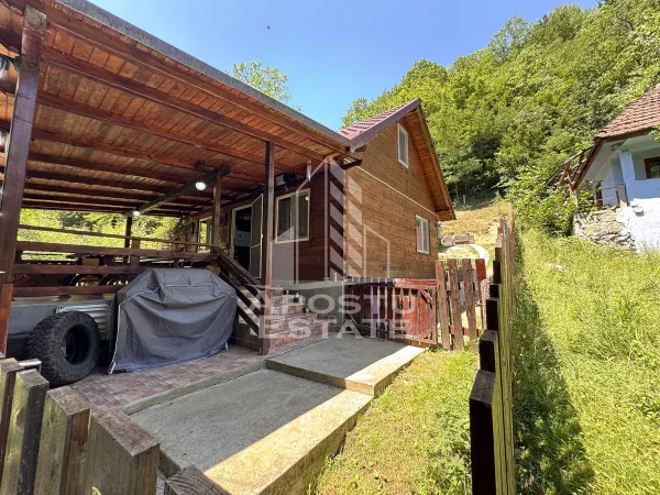 Casă 5 camere Dumbrava de Jos - poza 4