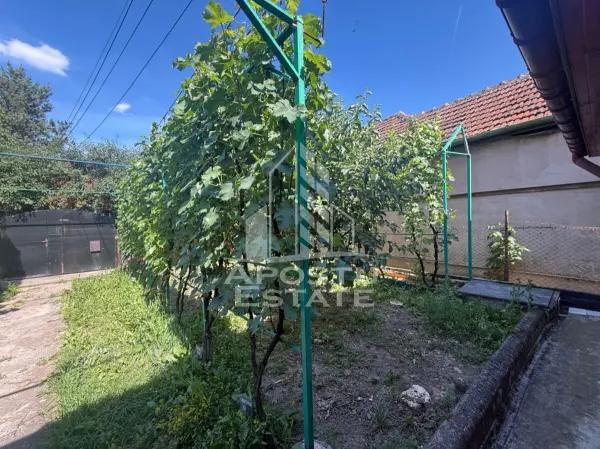 Casă 3 camere Timișoara - poza 1