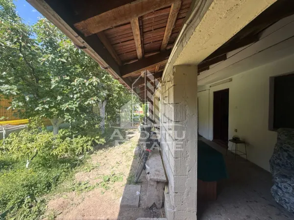 Casă 3 camere Timișoara - poza 12