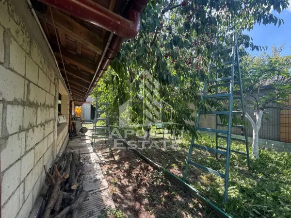 Casă 3 camere Timișoara - poza 16