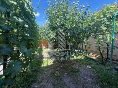 Casa individuala cu teren de vanzare, zona Plopi Timisoara - foto 17