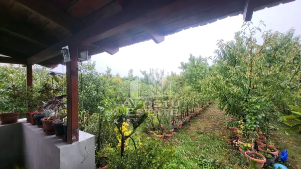 Casă 5 camere Giarmata-Vii - poza 7