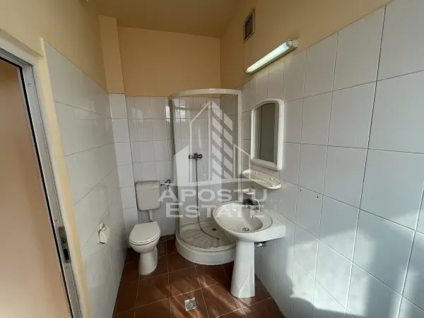 Spațiu comercial Timișoara - poza 7
