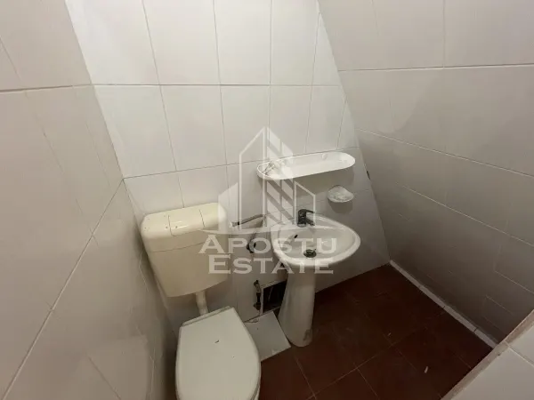 Spațiu comercial Timișoara - poza 8