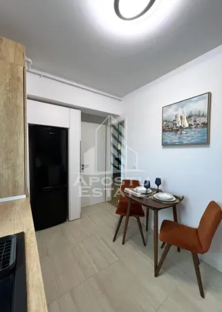 Apartament 1 camera Timișoara - poza 6