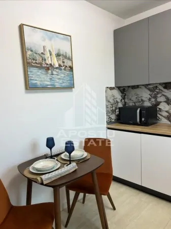 Apartament 1 camera Timișoara - poza 7