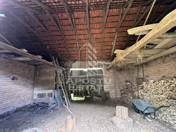 Casă 4 camere Tisa - poza 12