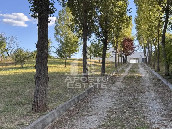 Casă 7 camere Hunedoara - poza 18