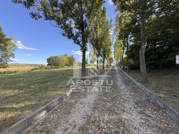 Casă 7 camere Hunedoara - poza 20