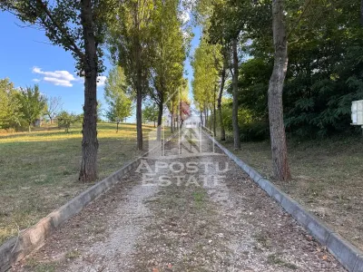Vila deosebita cu piscina, familiala, investitie, business, Hunedoara - foto 21