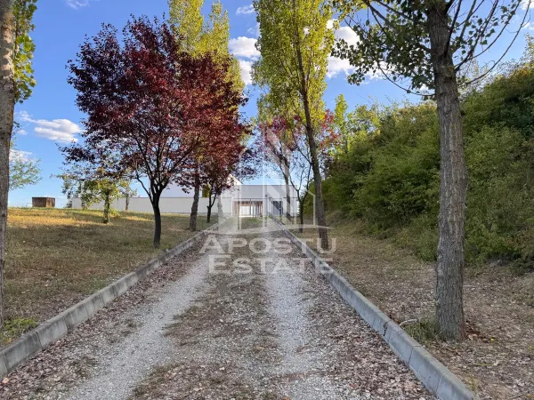 Casă 7 camere Hunedoara - poza 22