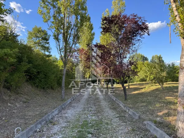Casă 7 camere Hunedoara - poza 23