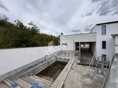 Vila deosebita cu piscina, familiala, investitie, business, Hunedoara - foto 10