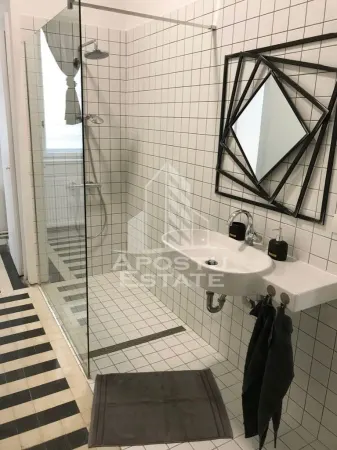 Apartament 4 camere Timișoara - poza 12