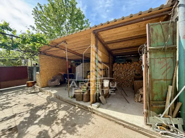 Casă 5 camere Timișoara - poza 13