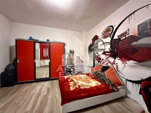 Casă 5 camere Timișoara - poza 4