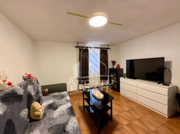 Casă 5 camere Timișoara - poza 5