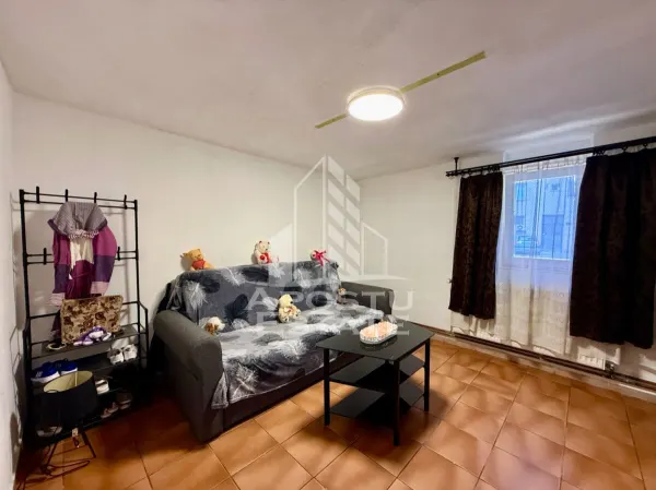 Casă 5 camere Timișoara - poza 6
