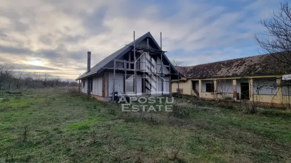 Casă 4 camere Seceani - poza 1