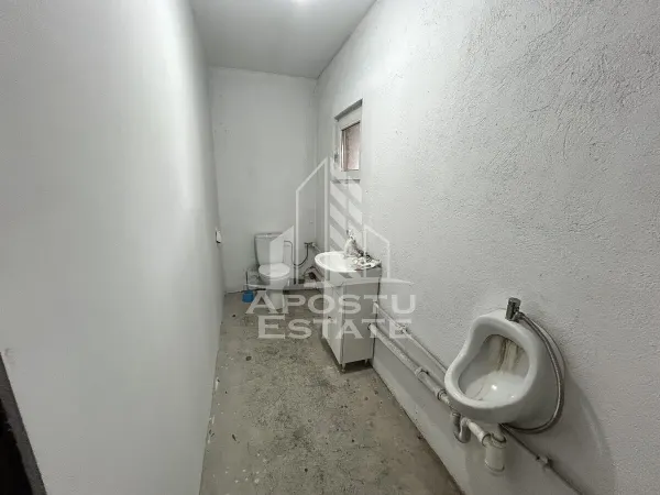 Spațiu industrial Cheveresu Mare - poza 8
