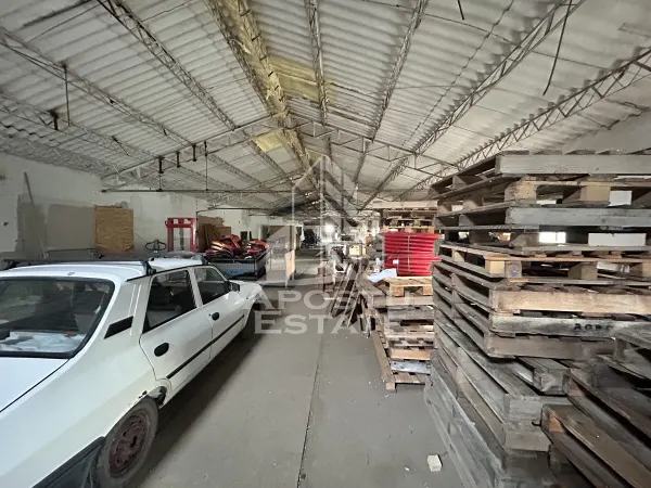 Spațiu industrial Cheveresu Mare - poza 9