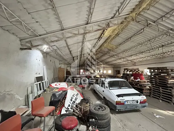 Spațiu industrial Cheveresu Mare - poza 10