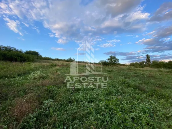 Teren Hunedoara - poza 6