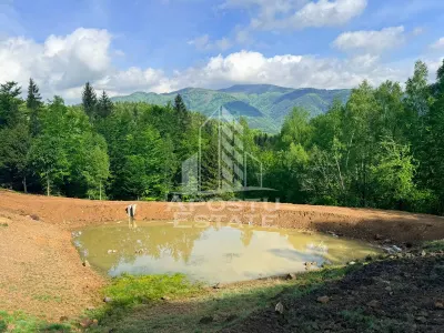 Oportunitate! Domeniu montan, cu lac propriu, oras Lupeni, Hunedoara - foto 2