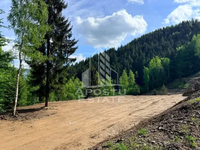 Oportunitate! Domeniu montan, cu lac propriu, oras Lupeni, Hunedoara - foto 19
