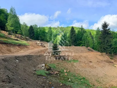 Oportunitate! Domeniu montan, cu lac propriu, oras Lupeni, Hunedoara - foto 22