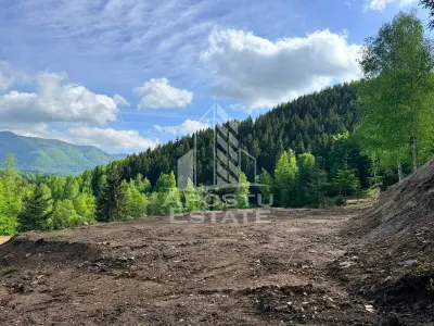 Oportunitate! Domeniu montan, cu lac propriu, oras Lupeni, Hunedoara - foto 24