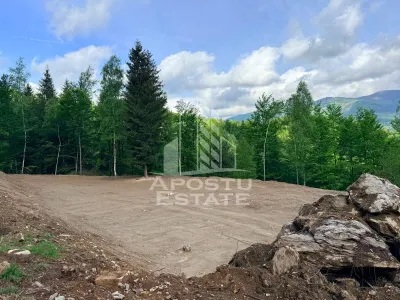 Oportunitate! Domeniu montan, cu lac propriu, oras Lupeni, Hunedoara - foto 25
