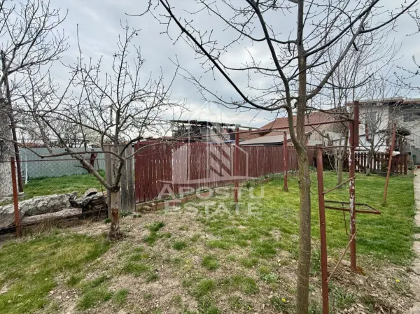 Casă 6 camere Timișoara - poza 6
