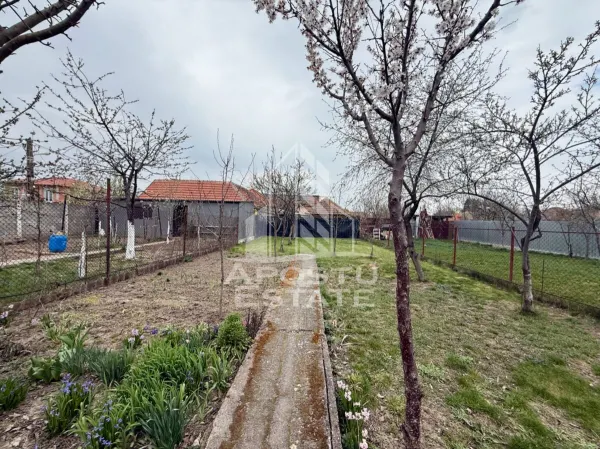 Casă 6 camere Timișoara - poza 7