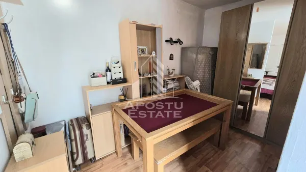 Casă 7 camere Timișoara - poza 23